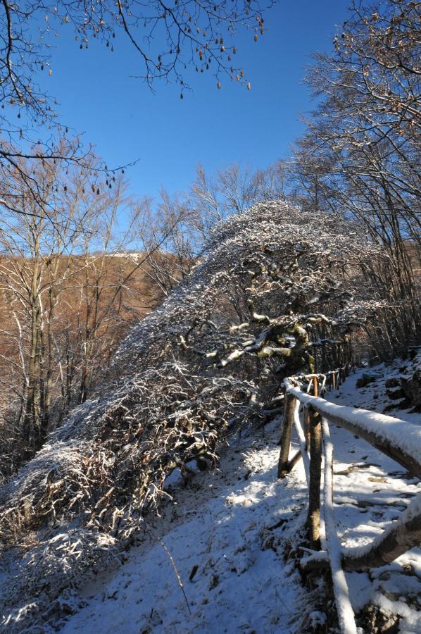 Alloggio Turistico Luigina Morro Reatino Zewnętrze zdjęcie